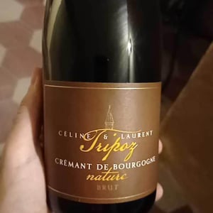 Crémant De Bourgogne Brut Prestige - Domaine Tripoz - celine-laurent-tripoz