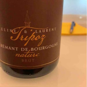 Crémant De Bourgogne Brut Prestige - Domaine Tripoz - Céline & Laurent Tripoz 