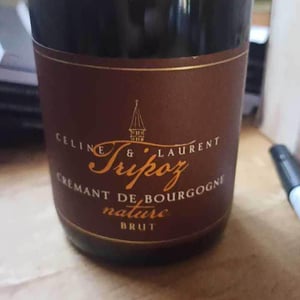 Crémant De Bourgogne Brut Prestige - Domaine Tripoz - celine-laurent-tripoz