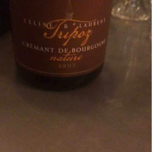 Crémant De Bourgogne Brut Prestige - Domaine Tripoz - celine-laurent-tripoz