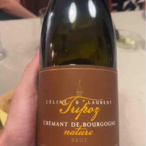 Crémant De Bourgogne Brut Prestige - Domaine Tripoz - celine-laurent-tripoz
