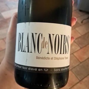 Blanc De Noirs - Domaine André & Mireille Tissot - benedicte-stephane-tissot