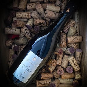 Crémant de Loire - Bois-Brinçon - xavier-geraldine-cailleau -2021