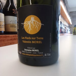 Crémant du Jura Brut Nature - Les Pieds Sur Terre - valentin-morel