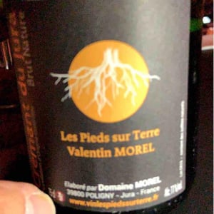 Crémant du Jura Brut Nature - Les Pieds Sur Terre - Valentin Morel 