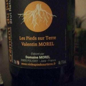 Les Pieds Sur Terre - Valentin Morel - Crémant du Jura Brut Nature