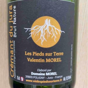 Crémant du Jura Brut Nature - Les Pieds Sur Terre - Valentin Morel 
