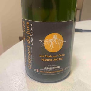 Crémant du Jura Brut Nature - Les Pieds Sur Terre - Valentin Morel 