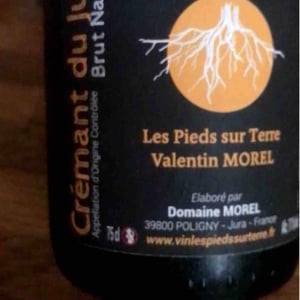 Crémant du Jura Brut Nature - Les Pieds Sur Terre - valentin-morel