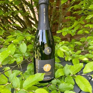 Crémant du Jura Brut Nature - Les Pieds Sur Terre - valentin-morel