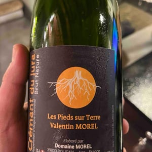 Crémant du Jura Brut Nature - Les Pieds Sur Terre - valentin-morel