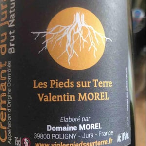 Crémant du Jura Rosé - Les Pieds Sur Terre - Valentin Morel 