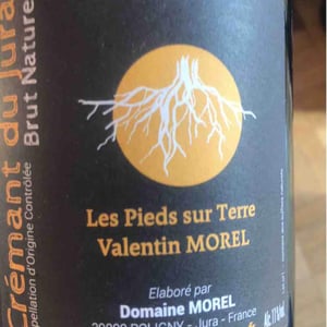Crémant du Jura Rosé - Les Pieds Sur Terre - Valentin Morel 
