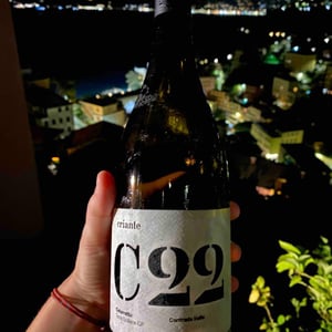 C22 - Criante - irene-davide -2021