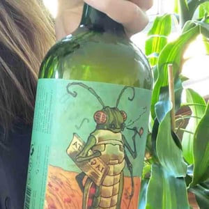 Clos Lentiscus - Manel Aviñó - Cric Cric Blanc