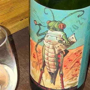 Clos Lentiscus - Manel Aviñó - Cric Cric Blanc