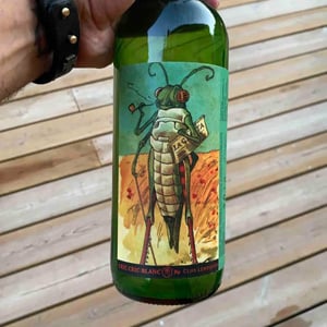 Cric Cric Blanc - Clos Lentiscus - manel-avino