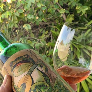 Croac Croac Pink - Clos Lentiscus - manel-avino