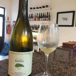Encruzado Em Cru - Quinta da Pellada | Quinta de Saes - maria-alvaro-castro