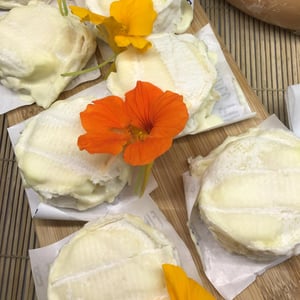 Crottin De Brebis Du Tarn - Fromages Keuz Hay - 766648