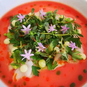 Crudo De Maigre / Pulpe Citron / Eau De Tomate / Pourpier - Es / Pacìo - 520279