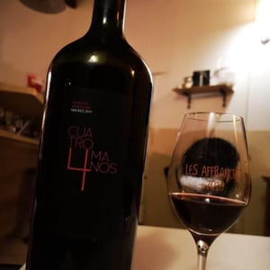 Cuatro Manos - Cuatro Manos - Les Vins Tonton - Vincent Wallard 