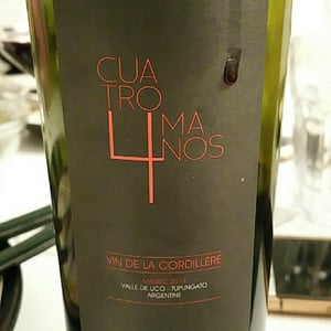 Cuatro Manos - Cuatro Manos - Les Vins Tonton - Vincent Wallard 