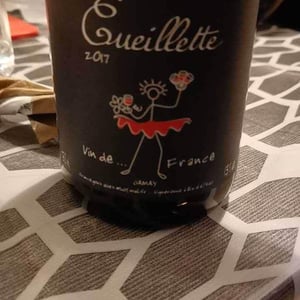 Cueillette - France Gonzalvez - Beaujolais (CLOSED) - France Gonzalvez 