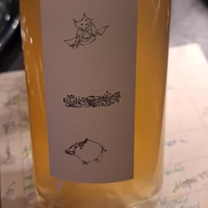 Ciulin - L’absurde Génie Des Fleurs - miha-trifa-tom-gautier