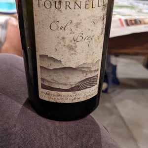 Cul du Brey - Domaine de la Tournelle - evelyne-clairet