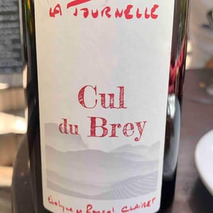 Cul du Brey Rouge - Domaine de la Tournelle - evelyne-clairet
