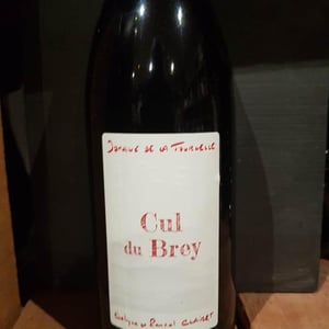 Cul du Brey Rouge - Domaine de la Tournelle - evelyne-clairet