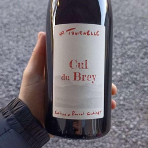 Cul du Brey Rouge - Domaine de la Tournelle - evelyne-clairet