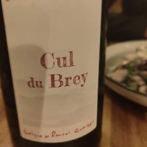 Cul du Brey Rouge - Domaine de la Tournelle - evelyne-clairet