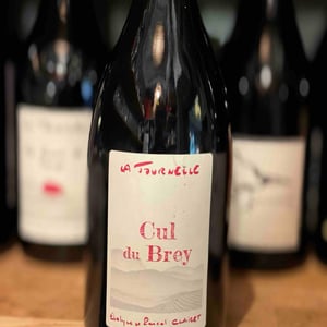 Cul du Brey Rouge - Domaine de la Tournelle - evelyne-clairet