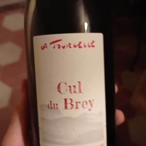 Cul du Brey Rouge - Domaine de la Tournelle - evelyne-clairet
