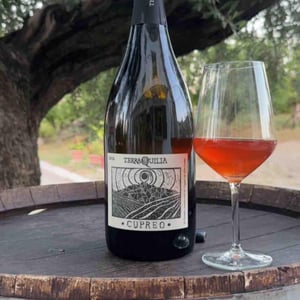 Cupreo - TerraQuilia Società Agricola S.S. - romano-giorgia-mattioli -2016