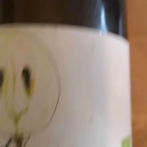 Cœur De Raisin - La Sénéchalière - ryosuke-furuya-ex-marc-pesnot