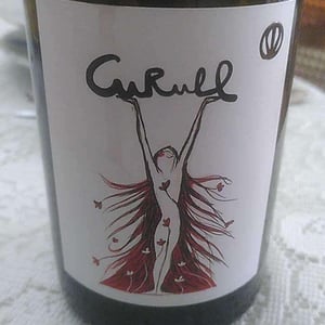 Curull - Vinyas D’empremta - isidre-gerard-berta-vinyas