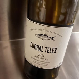 Curral Teles - Lambda - Adega do sável (Alosa Alosa) - mateus-nicolau-de-almeida -2021