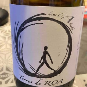 Vignoble des Vernusses - Loren PETIT - Cuvée « A », Dans L'Absolu