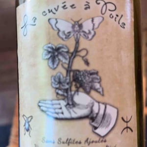 Cuvée A Poils - Didier Cazac - didier-cazac