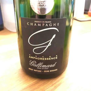 Cuvée Amphorescence - Gallimard - gallimard-pere-et-fils