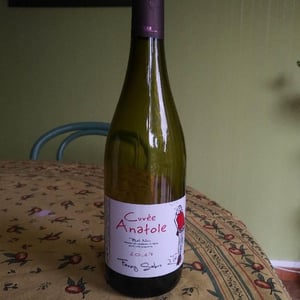 "Cuvée Anatole" - IGP Ste Marie-la-Blanche - Fanny Sabre - fanny-sabre