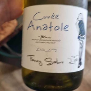 "Cuvée Anatole" - IGP Ste Marie-la-Blanche - Fanny Sabre - Fanny Sabre 