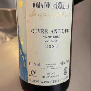 Cuvée Antique - Domaine de Beudon - marion-granges-fayss