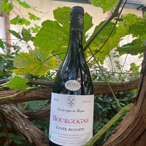 Cuvée Auguste - Clos des Vignes du Maynes - julien-guillot