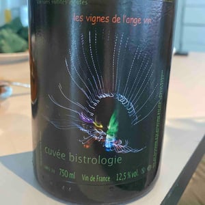 Les Vignes de l'Angevin - Jean-Pierre Robinot - Bistrologie
