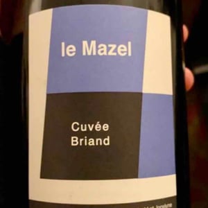 Le Mazel - Gérald & Jocelyne Oustric - Cuvée Briand