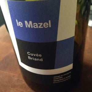 Le Mazel - Gérald & Jocelyne Oustric - Cuvée Briand